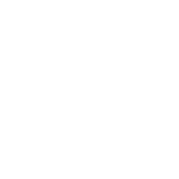 Arctic Fund Management Logo