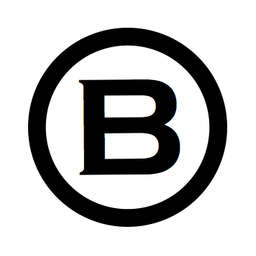 B Dash Ventures Logo