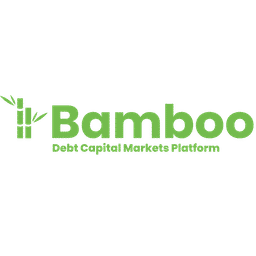 Bamboo Debt Capital Markets Platform Logo