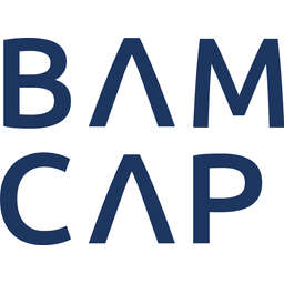 BAMCAP Logo