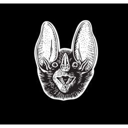 Batshit Crazy Ventures Logo