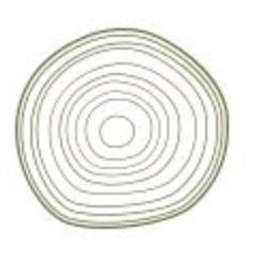 Beechwood Capital Logo