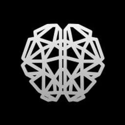 Big Brain Holdings Logo