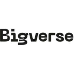 Bigverse Logo