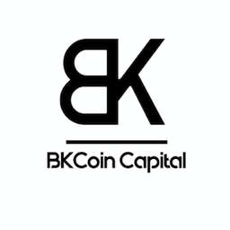 BKCoin Capital Logo