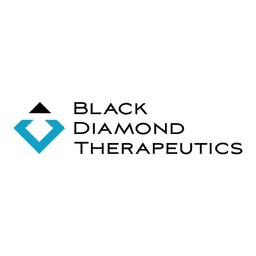 Black Diamond Therapeutics Logo