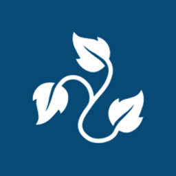 Blue Ivy Ventures Logo
