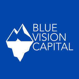 Blue Vision Capital Logo
