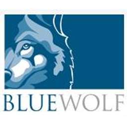 Blue Wolf Capital Partners Logo
