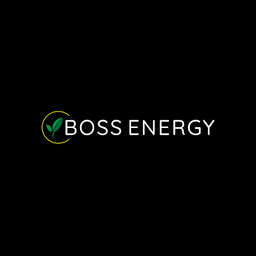 Boss Energy Logo