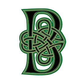 Boyne Capital Partners Logo