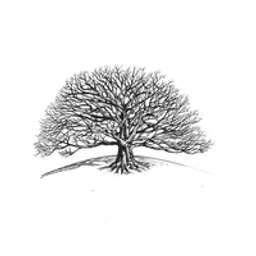 Broad Oak Group International Logo