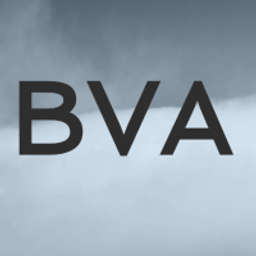 BVA / Brown Venture Associates Logo