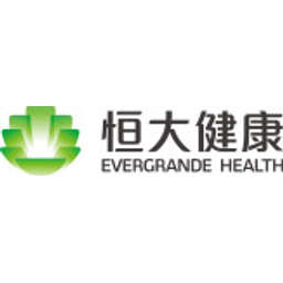 China Evergrande New Energy Vehicle Group Logo