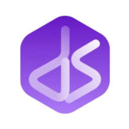 Digital Space Ventures Logo