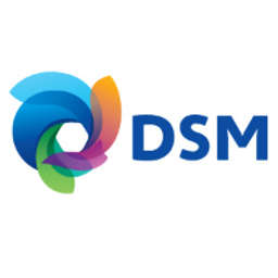 DSM Logo