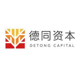 DT Capital Partners Logo