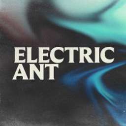 Electric Ant Logo