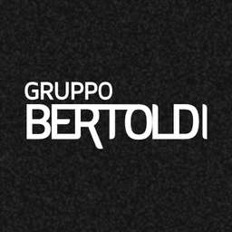 Gruppo Bertoldi Logo