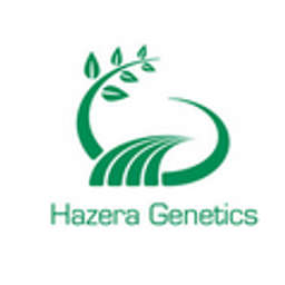 Hazera Genetics Logo