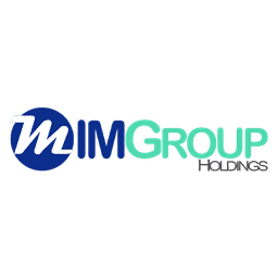 IMGroup Holdings Logo