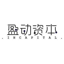 In Capital Logo