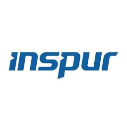 Inspur Group Logo