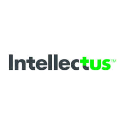 Intellectus Partners Logo