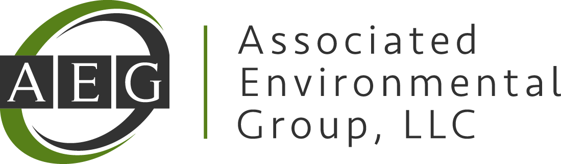 Associated Environmental Group Logo
