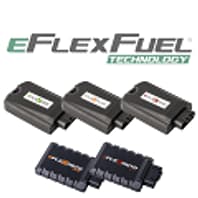 eFlexFuel Logo