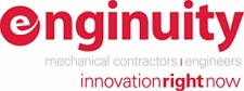Enginuity LLC Logo