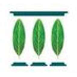 Manzanita Capital Logo