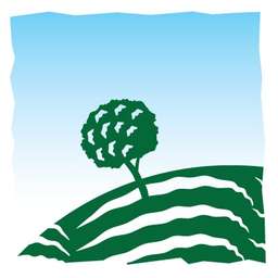 Maxfield Capital Logo