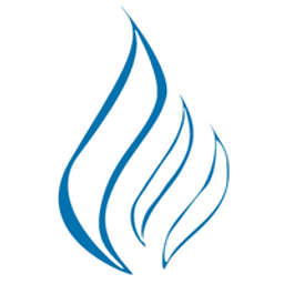 MDS Energy Development Logo