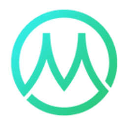 MetaVision International Logo