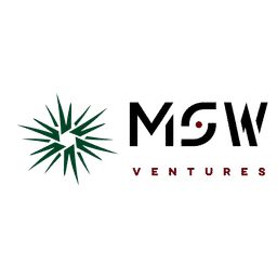 MSW Ventures Logo