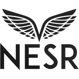 National Energy Services Reunited Logo