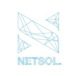 NETSOL Technologies Logo