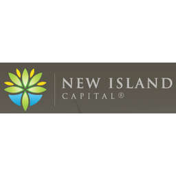 New Island Capital Logo