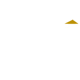 Newmont Goldcorp Logo