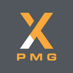 Nexus Program Management Group Logo