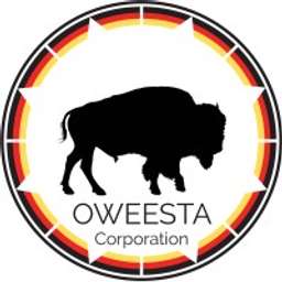 Oweesta Logo