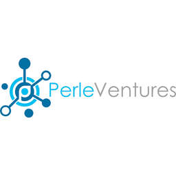 Perle Ventures Logo