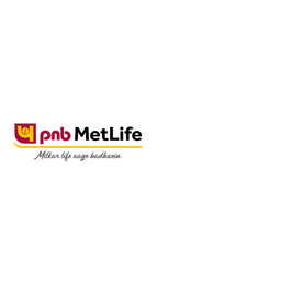 PNB MetLife India Insurance Logo