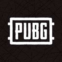 PUBG Corporation Logo