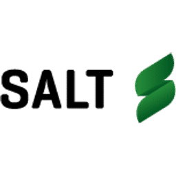 Salt Ventures Logo
