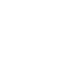 SooChow Securities Logo