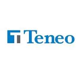 Teneo Logo