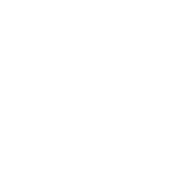 The Dinerstein Companies Logo