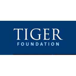 Tiger Management Corporation Logo